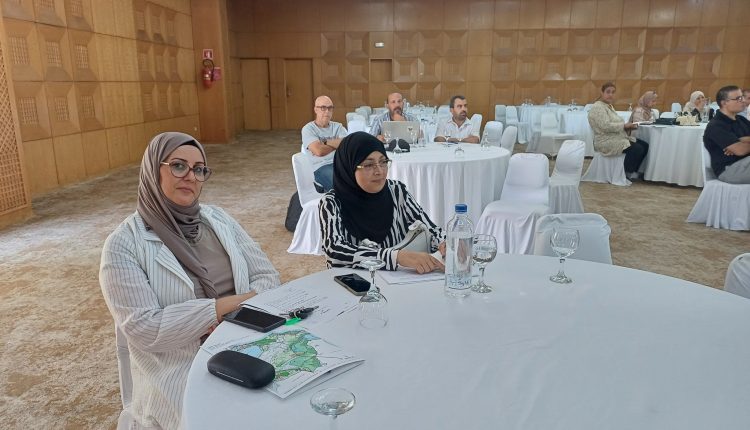 519057789_1146407534186368_5963554166558356121_n