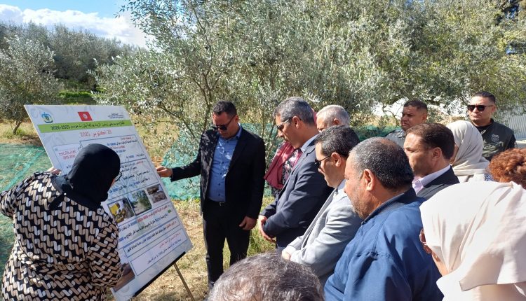 571381598_1145864704313347_5435635768806225391_n