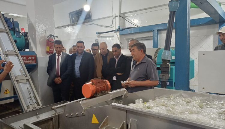 571988372_1145864287646722_3299729892010494484_n