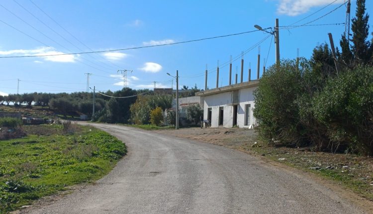 591841610_1263842669109520_7736741306732873612_n