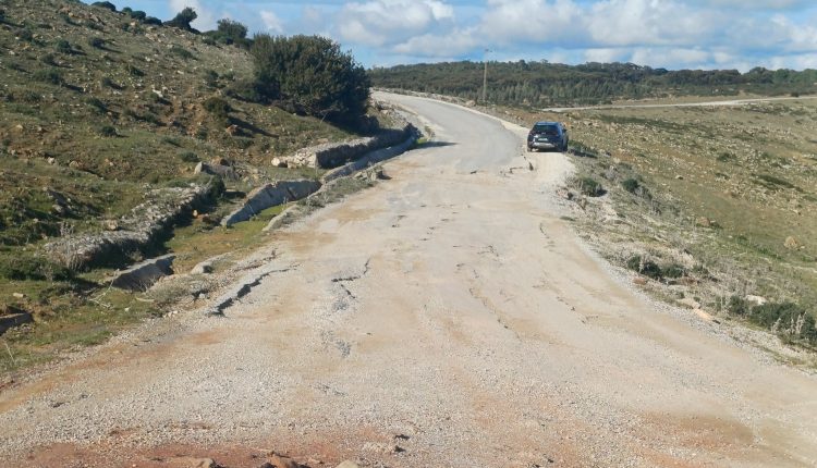 593298248_1264011425759311_7906217896215564629_n