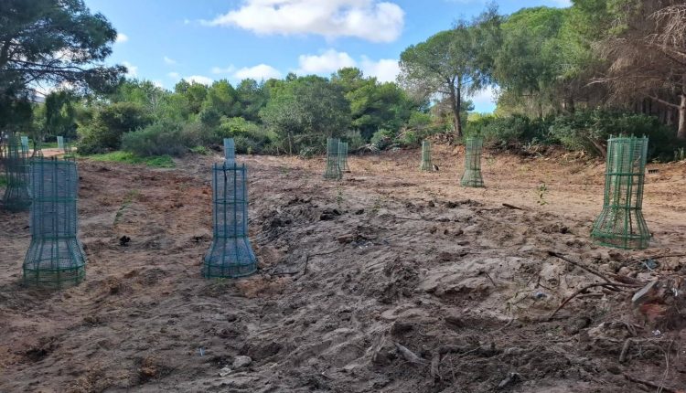 593991865_1266872828806504_3437323112483747625_n