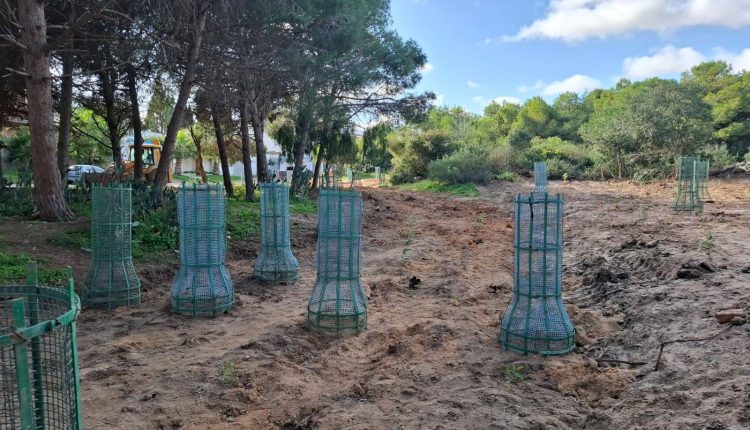 594077978_1266872872139833_2255617486786515273_n