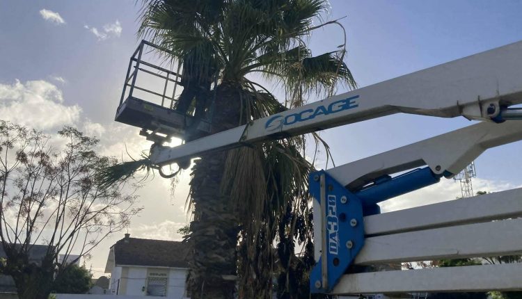 594558178_1266823768811410_456826427848182122_n