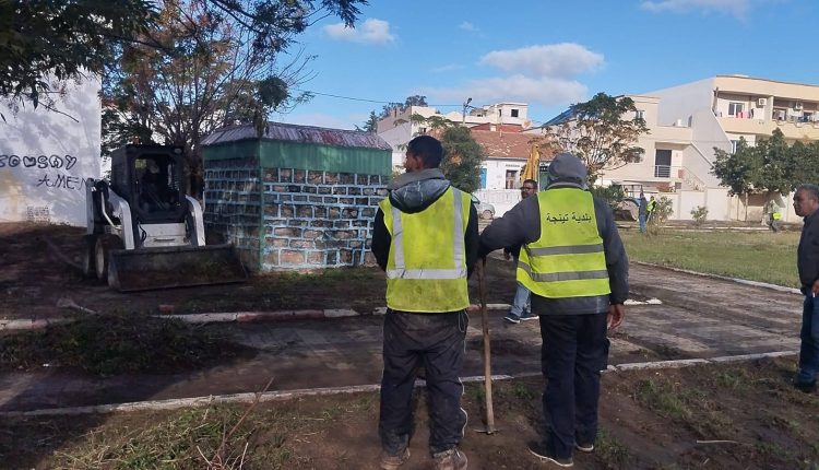 595630702_1266823722144748_1075799018072029807_n