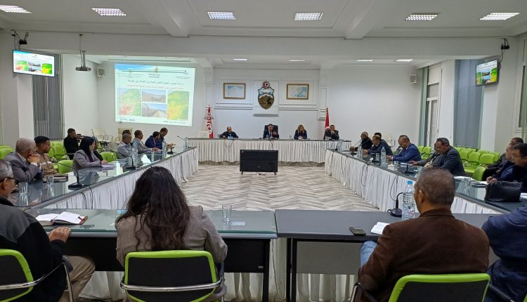 597864215_1179195034313647_5737158751609272467_n (1)